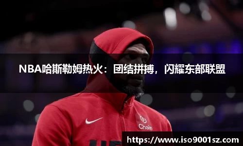 NBA哈斯勒姆热火：团结拼搏，闪耀东部联盟