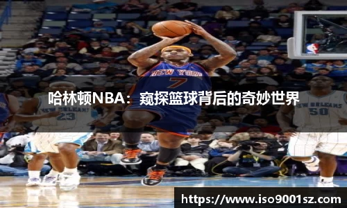 哈林顿NBA：窥探篮球背后的奇妙世界
